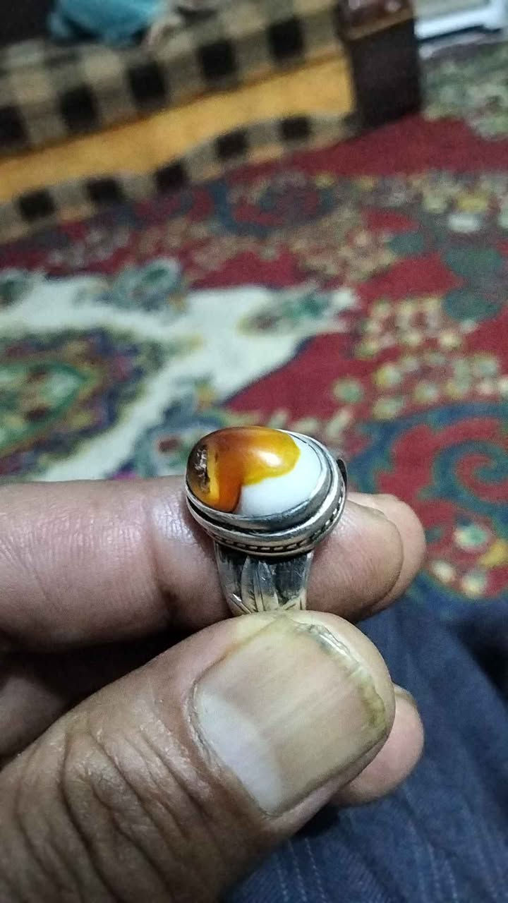 جزع معطف الشطره, ذي قار


**إذا كنت صاحب هذا الإعلان وتريد حذفه لأي سبب، رجاءا أرسل رسالة إلى الدعم الفني**