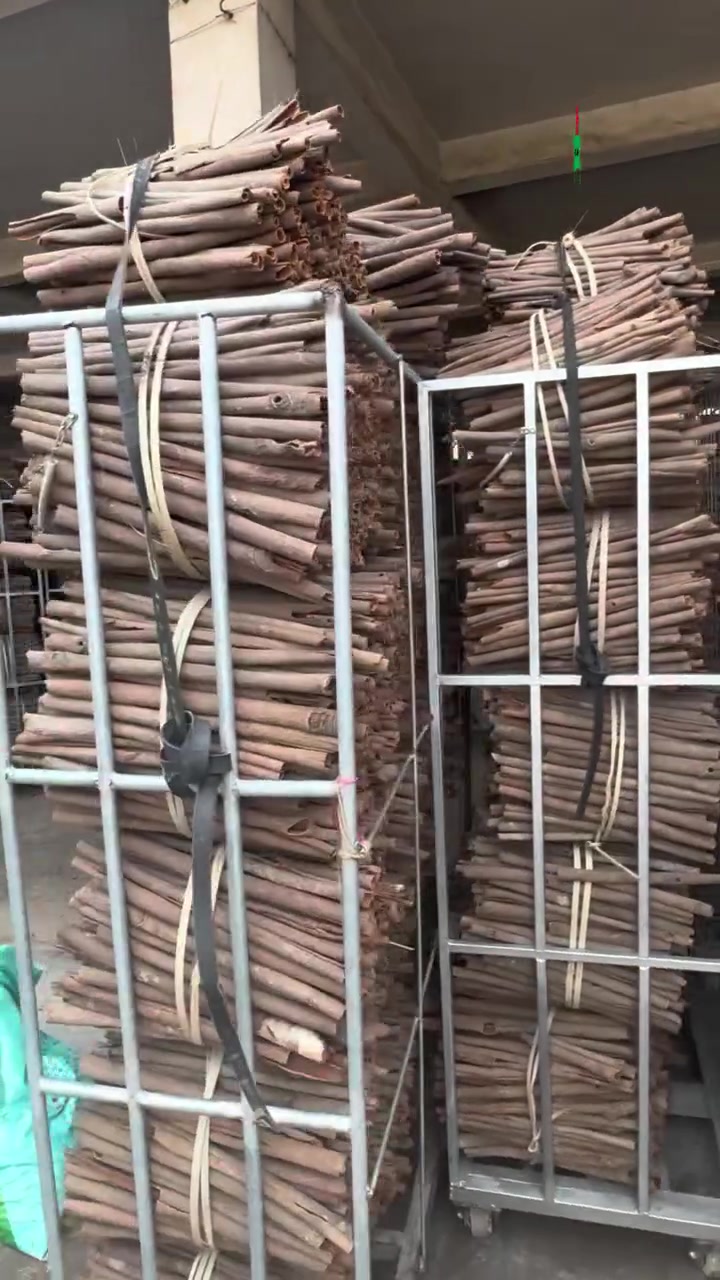 Newly finished cassia whole and cassia tube A. WA: +86 13708927132  [#2026cassiawhole](https://www.facebook.com/hashtag/2026cassiawhole?__cft__[0]=AZYvf_tpPQo5NQMDVQaThuMH8OKkqoFbZFJ6IwQ1pk8g_FHP6lInQpjq6R9vvv9eh8iYTzZB861Y9dV-Q7a9k0hEXCCCItPQWXZlXsxVLFQmM4NXs4C-1PZ3twsFPC-hd9HXAXcNBSCheNhJ03pnKbUKOJ_Z86cSgxX0T8JG7Dg7f5P8e8C6KbPsOMio3MHf4Lg&__tn__=*NK-R) [#cinnamonwhole](https://www.facebook.com/hashtag/cinnamonwhole?__cft__[0]=AZYvf_tpPQo5NQMDVQaThuMH8OKkqoFbZFJ6IwQ1pk8g_FHP6lInQpjq6R9vvv9eh8iYTzZB861Y9dV-Q7a9k0hEXCCCItPQWXZlXsxVLFQmM4NXs4C-1PZ3twsFPC-hd9HXAXcNBSCheNhJ03pnKbUKOJ_Z86cSgxX0T8JG7Dg7f5P8e8C6KbPsOMio3MHf4Lg&__tn__=*NK-R) [#cassiaking](https://www.facebook.com/hashtag/cassiaking?__cft__[0]=AZYvf_tpPQo5NQMDVQaThuMH8OKkqoFbZFJ6IwQ1pk8g_FHP6lInQpjq6R9vvv9eh8iYTzZB861Y9dV-Q7a9k0hEXCCCItPQWXZlXsxVLFQmM4NXs4C-1PZ3twsFPC-hd9HXAXcNBSCheNhJ03pnKbUKOJ_Z86cSgxX0T8JG7Dg7f5P8e8C6KbPsOMio3MHf4Lg&__tn__=*NK-R) [#shandonghighgrade](https://www.facebook.com/hashtag/shandonghighgrade?__cft__[0]=AZYvf_tpPQo5NQMDVQaThuMH8OKkqoFbZFJ6IwQ1pk8g_FHP6lInQpjq6R9vvv9eh8iYTzZB861Y9dV-Q7a9k0hEXCCCItPQWXZlXsxVLFQmM4NXs4C-1PZ3twsFPC-hd9HXAXcNBSCheNhJ03pnKbUKOJ_Z86cSgxX0T8JG7Dg7f5P8e8C6KbPsOMio3MHf4Lg&__tn__=*NK-R) [#AcassiatubeB](https://www.facebook.com/hashtag/acassiatubeb?__cft__[0]=AZYvf_tpPQo5NQMDVQaThuMH8OKkqoFbZFJ6IwQ1pk8g_FHP6lInQpjq6R9vvv9eh8iYTzZB861Y9dV-Q7a9k0hEXCCCItPQWXZlXsxVLFQmM4NXs4C-1PZ3twsFPC-hd9HXAXcNBSCheNhJ03pnKbUKOJ_Z86cSgxX0T8JG7Dg7f5P8e8C6KbPsOMio3MHf4Lg&__tn__=*NK-R) [#25kgscassiabroken](https://www.facebook.com/hashtag/25kgscassiabroken?__cft__[0]=AZYvf_tpPQo5NQMDVQaThuMH8OKkqoFbZFJ6IwQ1pk8g_FHP6lInQpjq6R9vvv9eh8iYTzZB861Y9dV-Q7a9k0hEXCCCItPQWXZlXsxVLFQmM4NXs4C-1PZ3twsFPC-hd9HXAXcNBSCheNhJ03pnKbUKOJ_Z86cSgxX0T8JG7Dg7f5P8e8C6KbPsOMio3MHf4Lg&__tn__=*NK-R) [#cinnamon](https://www.facebook.com/hashtag/cinnamon?__cft__[0]=AZYvf_tpPQo5NQMDVQaThuMH8OKkqoFbZFJ6IwQ1pk8g_FHP6lInQpjq6R9vvv9eh8iYTzZB861Y9dV-Q7a9k0hEXCCCItPQWXZlXsxVLFQmM4NXs4C-1PZ3twsFPC-hd9HXAXcNBSCheNhJ03pnKbUKOJ_Z86cSgxX0T8JG7Dg7f5P8e8C6KbPsOMio3MHf4Lg&__tn__=*NK-R) [#Acassiawhole](https://www.facebook.com/hashtag/acassiawhole?__cft__[0]=AZYvf_tpPQo5NQMDVQaThuMH8OKkqoFbZFJ6IwQ1pk8g_FHP6lInQpjq6R9vvv9eh8iYTzZB861Y9dV-Q7a9k0hEXCCCItPQWXZlXsxVLFQmM4NXs4C-1PZ3twsFPC-hd9HXAXcNBSCheNhJ03pnKbUKOJ_Z86cSgxX0T8JG7Dg7f5P8e8C6KbPsOMio3MHf4Lg&__tn__=*NK-R)


**إذا كنت صاحب هذا الإعلان وتريد حذفه لأي سبب، رجاءا أرسل رسالة إلى الدعم الفني**