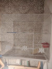 قفص ابو طير حجم الوسط ب20 مكاني حي الوحدة 07738325661