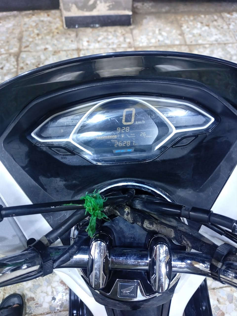 دراجه بي سي اكس البيع دراجه نضيفه ما متعوبه 

دراجه ما ملعوب بيه كامله ماشيه 26000الاف موصفات دراجه بصمه حساس زدحام تدفه يدات كهربايات شغلات كلهن ما بيه نقص دراجه مكانه كوت فلاحيه سعره 2750وبيه مجال ستفسار نتصال على رقم بي وتساب او خاص متواجد ***********
