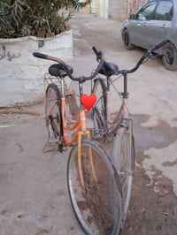 بايسكل • حجم ٢٦ • ديالى