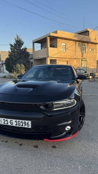 ٦ سلندر • وارد كندي • رقم سليمانيه