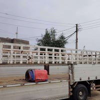 محجر ٦ وربع • دعاميه • كاسحه ناصي