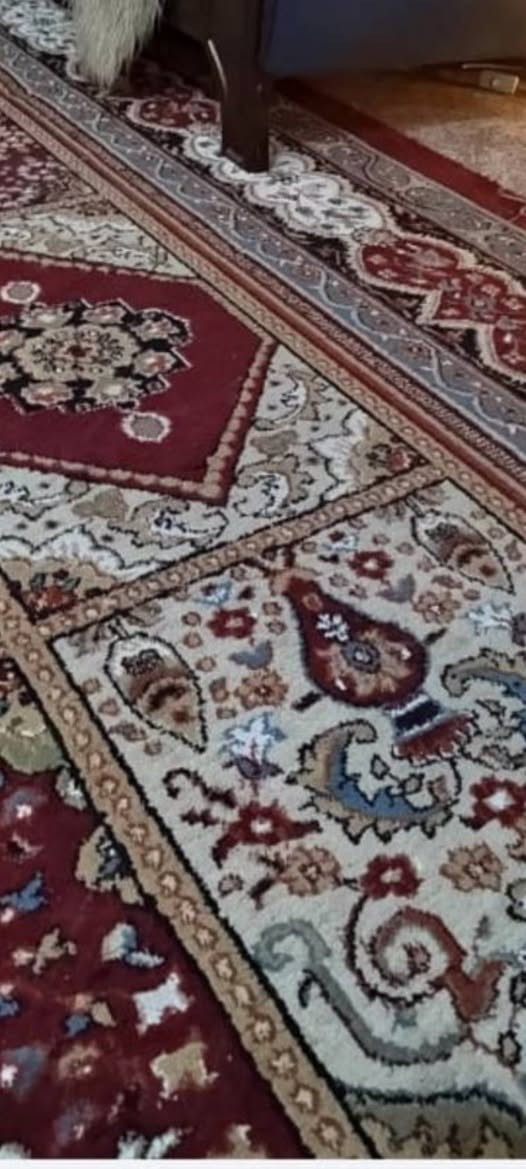 زوليه للبيع تلاثه في اربعه ٧٥وبيهه مجال


**إذا كنت صاحب هذا الإعلان وتريد حذفه لأي سبب، رجاءا أرسل رسالة إلى الدعم الفني**