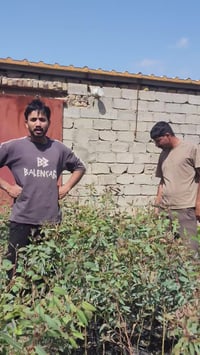 قالب توز • الديوانيه • ارتفاع ١م+