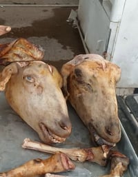 لحوم الاخوين • باجات الغنم • توصيل سامراء