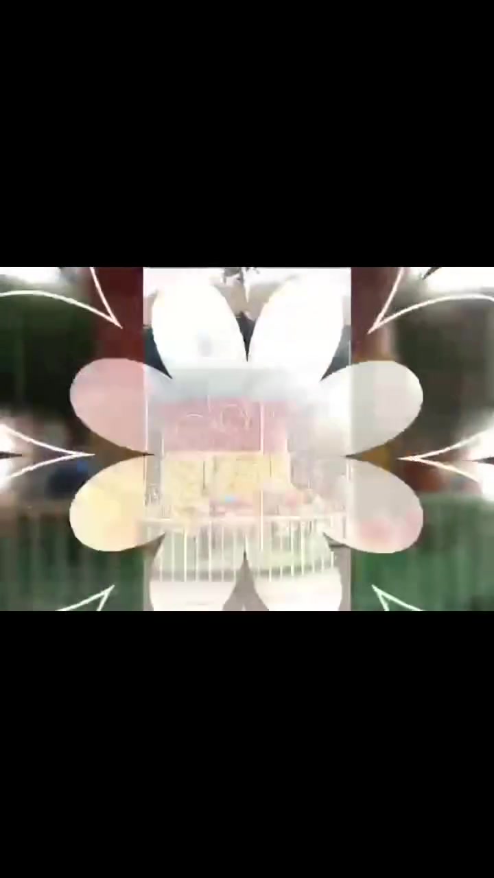 @إشارة 
رافد ألعاب النعمانيه


**إذا كنت صاحب هذا الإعلان وتريد حذفه لأي سبب، رجاءا أرسل رسالة إلى الدعم الفني**