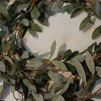 اغصان زيتون • بغداد