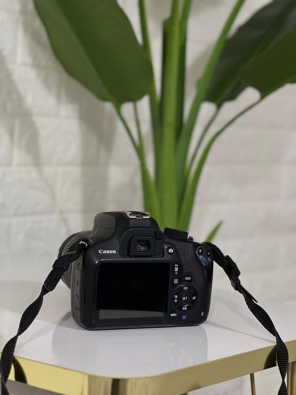 فرۆشتنی خێرا و خوار نرخی بازاڕ

Canon 1200D 
لێنز 18-55 
وەک لۆکە 
شەحن 
پاتری
نرخ 149 دۆلار
گەیاندن هەیە ✅


**إذا كنت صاحب هذا الإعلان وتريد حذفه لأي سبب، رجاءا أرسل رسالة إلى الدعم الفني**