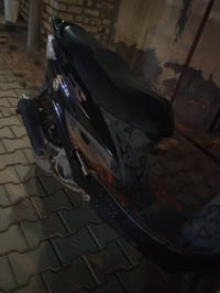 مراوس • فراشة فحل