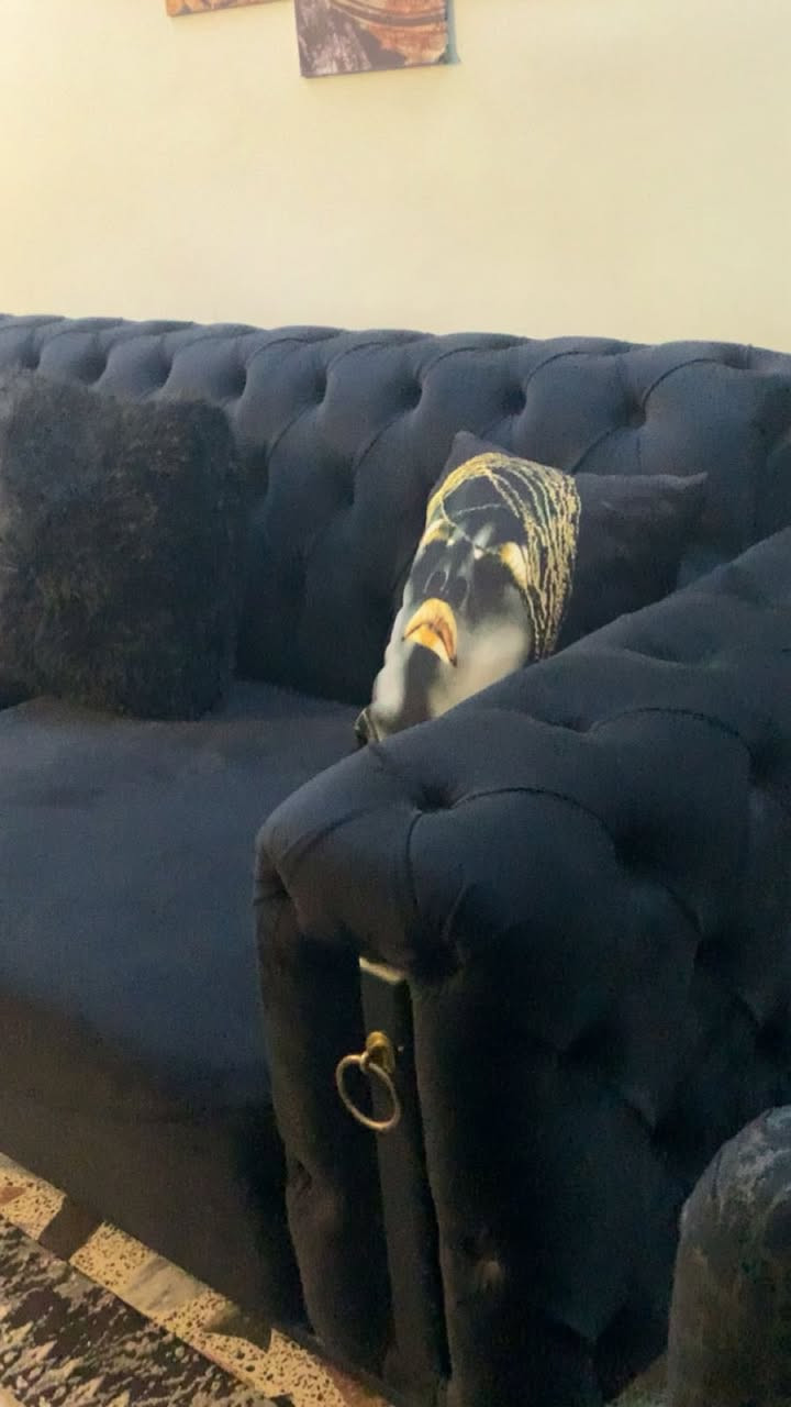 تخم تركي عشر مقاعد مودرن اخذته قبل شهر بس رح اشيل والمكان صغير هوة والطبلات للبيع مابي اي ضررر نظيف اخو الجديد اخذته قبل شهر رجاءا المو شراي ليدخل خاص ابد


**إذا كنت صاحب هذا الإعلان وتريد حذفه لأي سبب، رجاءا أرسل رسالة إلى الدعم الفني**