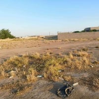 طريق المشروع • ٦٠٠م • سند زراعي