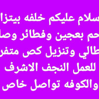 النجف الاشرف • الكوفه • بيتزا