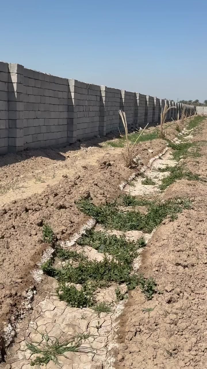 سلام عليكم (10)دوانم للبيع طابو زراعي سند (25)في الدوره منطقه الزنبرانيه غرب من سايدين حوراء خدماتها ماء كهرباء ⚡️ شارع سبيس سعر الدونم (125)الاستفسار ***********
