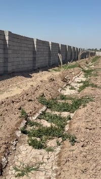 (10)دوانم للبيع طابو زراعي سند (25)في الدوره منطقه الزنبرانيه غرب من س...