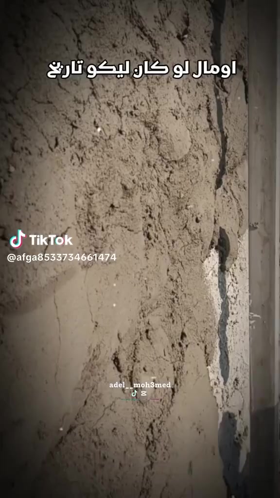 خلف  لبخ  متفرغ جميع انواع البخ الاسمنتي  خشن ناعم  وطلىس  وفوم  درجه اولي الرقم بي وتس اب***********
