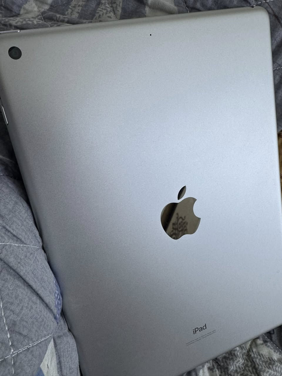 السلام عليكم عدي هذا ايباد 9 ذاكرة 64
ايباد نضيف وكلشي شغل بي فقط هاي الفطر الي يم الكامرا اريده ب 250 وبي مجال
نشر


**إذا كنت صاحب هذا الإعلان وتريد حذفه لأي سبب، رجاءا أرسل رسالة إلى الدعم الفني**