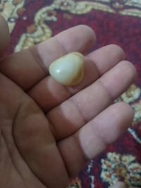 عطف قديم • محبه • شرط