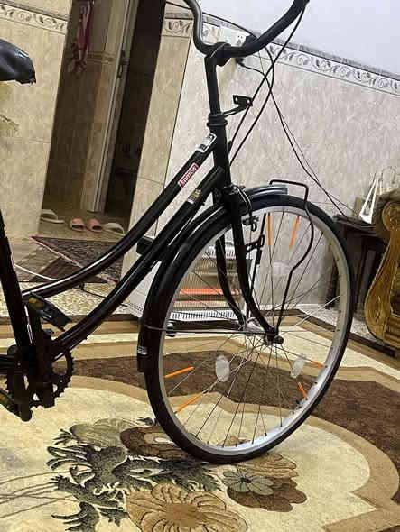 للبيع فقط 

باسكل نوع  سانتوس 

حجم 27

مصبوغ حراري فقط 

غراض كاملة 

السعر 100 بي مجال قليل 

مكاني موصل أيسر حي فلسطين

رقمي *********** شراي اتصل
