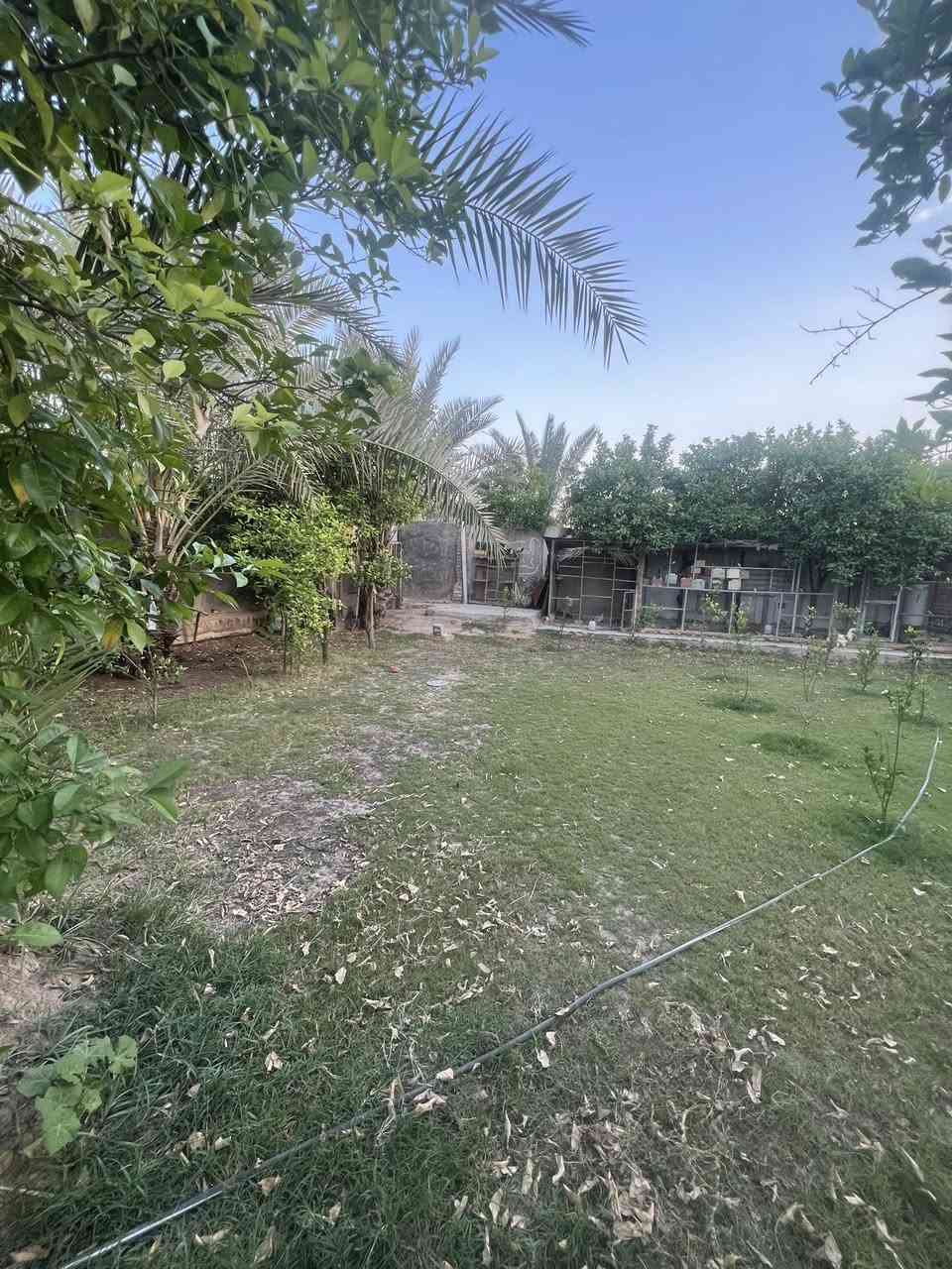 ‏للبيع 
بيت عدد 2زراعي سند 25 تحويل ب إسم المشتري مباشر 🏠
مساحة 1150 متر 
(يوجود بيت +مشتمل )🏠🏠
سنة البناء 2010
البناء طابوق +صب كونكريت مسلح 🏠🏠
الواجها 26متر🏠
النزال 45متر 🏠
يتكون  البيت( استقبال +صالة+مطبخ +غرف نوم عدد 2+صحيات داخلية وخارجية ) 🏠
وايضاً يتكون المشتمل (استقبال+صالة+غرفة نوم)🏠🏠
الموقع:قضاء المحاويل /ملحق حي  العسكري 

تتوفر فيه جميع الخدمات السكن 🏕

باقي التفاصيل موضحه في مقطع فيديو والصور 🌿🌿
🌿🌿
#للإستفسار اكثر او معرفة السعر يرجى مراسلتنا او  الاتصال على الارقام التاليه 
***********/  *********** ابواسد
