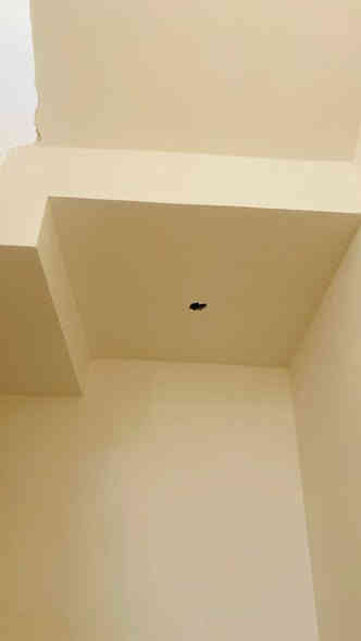 كادر لبخ وبياض درجه اولى تكنيد مصاطر لسكف ع الگبان العمل تحت إشراف مهندسين للاستفسار ***********واتس
