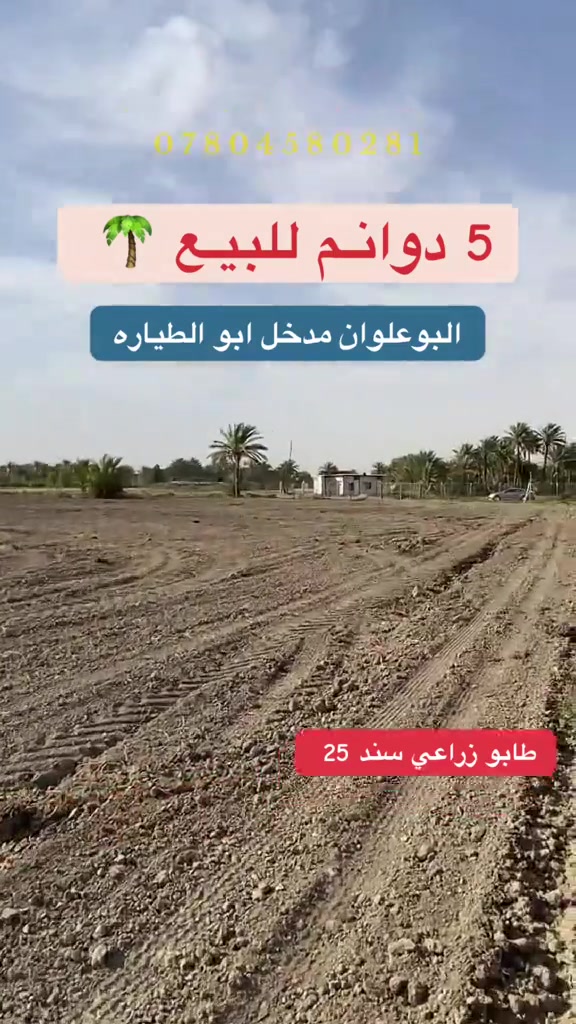 5 دوانــم للبـيـع 🌴 🌴 🌴 
زراعـي سنــــــد 25 تحــــــويــــــل مباشـــــــر 

يـنـباع حسـب الطـلــب دونـم او اكثــر 
شـارع رسمـي وخـدمــــــات كامـلــــــــه 
( ماء اسالــه - سقـي - كهـرباء ) 

العنــــــوان : المحاويل مدخل ابو الطيـاره 
***********
