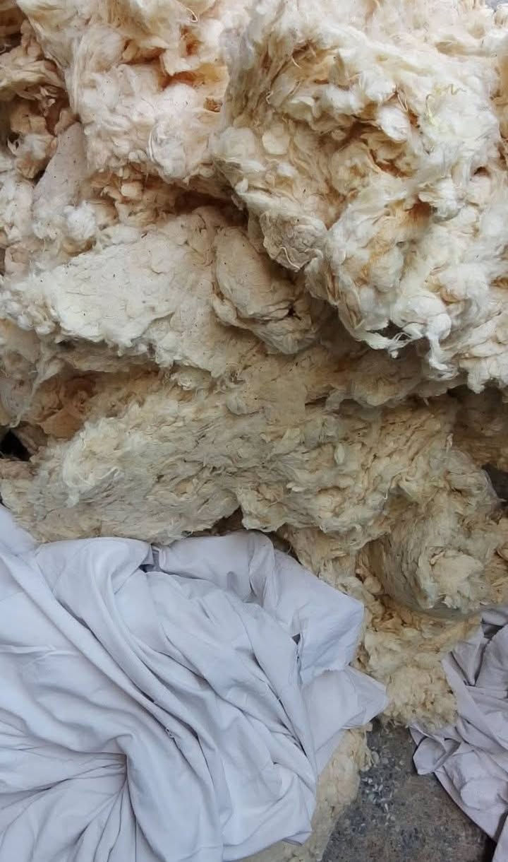نستلم كافه المفروشات المستخدمه لتجديده
نشتغل بلجاهز ونزيد المستخدم موسم كصاص الي عنده صوف ويريد يندفه نشتغل الي


**إذا كنت صاحب هذا الإعلان وتريد حذفه لأي سبب، رجاءا أرسل رسالة إلى الدعم الفني**