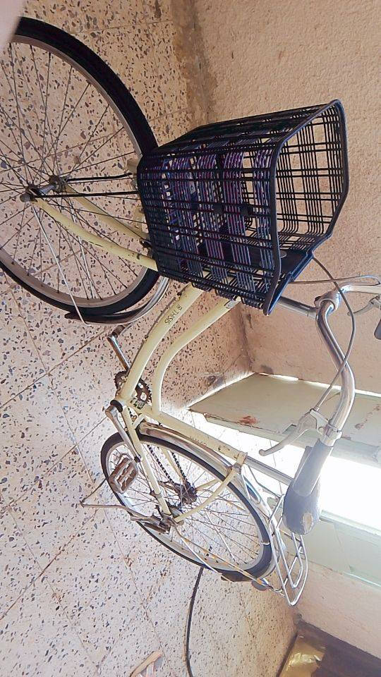 السلام عليكم بيسكل ياباني حجم 26 حاوية كامل للبيع العنوان ماجدية شارع الملعب السعر 75 وبي مجال رقم للشراي  ***********
