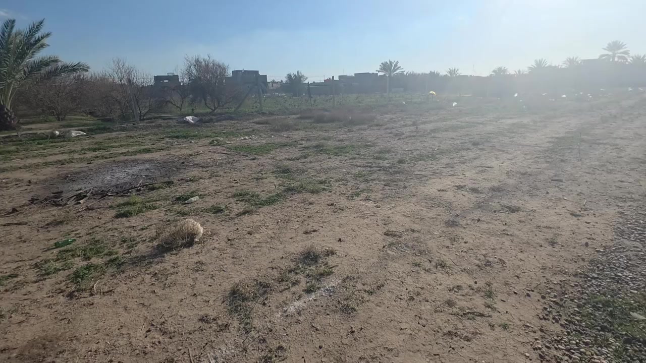 قطعه ارض مساحه ١٤٠ سند زراعي تحويل مباشر عنوان حي الكرار قرب شارع الحولي لاستفسار اتصل بلد ***********
