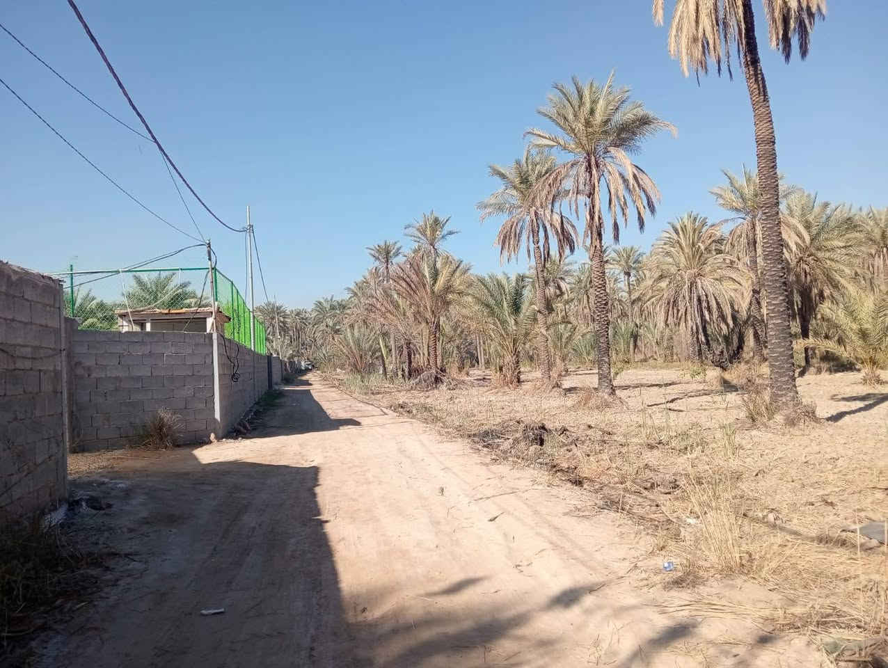 يالله أللهم صل على محمد وآل محمد) للبيع دونم طابو زراعي

 تحويل سهم 🎯 مباشر بأسم المشتري تتوفر كافة الخدمات

 كهرباء مي سقي سيح مي اساله مولد واجهة الدونم 120 متر

 ونزال 21 متر العنوان كربلاء الحسينية منطقة ام ماشة 

تبعد عن التبليط الفرعي 150 متر وعن شارع السيده زينب كيلو 

وعن مركز المدينة 16 كيلو 

#السعر___200__مليون___مع_المجال_للجاد_بالشراء 

للاستفسار اكثر اتصلوا بالأرقام التالية 

(  ***********  )(  ***********  )

ابو فاطمة عنوان المكتب شارع الحسينية قرب جسر 🌉 الإبراهيمية مقابل شارع عون مكتب النافعي للعقارات -كربلاء        #اشاره #الاصدقاء #متابعين #اكسبلور #الجميع #متابعين #اكسبلور #الجميع #متابعين #اكسبلور @أبرز المعجبين @إشارة @إشارة
