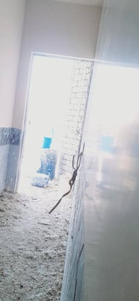 كادر لباخين جص • معلم جص • بناء الموصل • عمل مساطر • عمال بناء جص • مق...