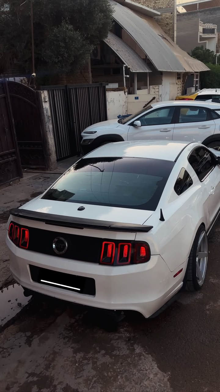 موستنك gt 2013 بريميوم فول
عليهه هدرز لونك امريكان ريسنك
وعليهه شوته AIRAID
حشوه المكينه مزوده
عليهه برمجه
السياره فول هوائيات 
السياره شتريتهه حزام بس هيه مو 
حزام بيهه قطع
غرفتهه جلد جديده كلش
تخم تاير جديد بلجيس
وياله فويسن 20
صدر امامي خلفي جديد
تبريد ثلج 
رقم بغداد الجديد
هزه وسنويه جديدات 
هزه بعد 9 اشهر يله تسقط والسنويه 2032
سعرهه 120
مكان السياره بغداد اليرموك ***********
