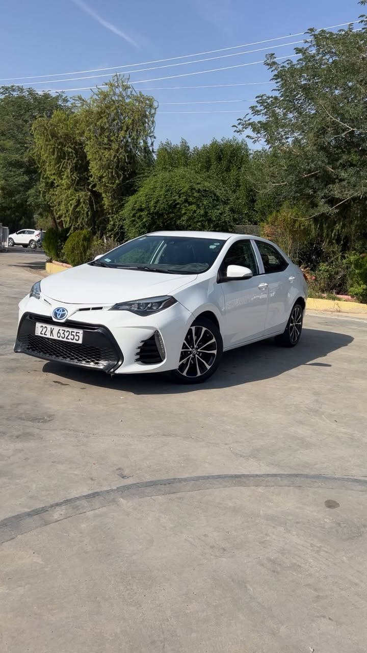 19
#كلين 

رقم اربيل 

سعر173وبي مجال

رقم***********

الموشراي ليتصل

غير متواجد عل فيس
