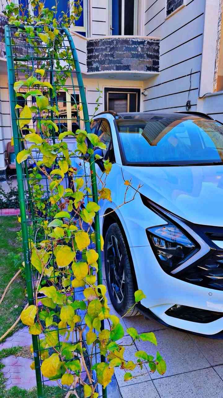 السلام عليكم 
سبورتج 2025 (GT line)جي تي لاين
موصفاتها معروفه 
السياره خليجيه 
ماشيه 4000فقط اخت الزيرو 
السياره مكفوله ماعدا الجاملغ الخلفي 
طخة  وباقيه على وضعها بدون تصليح 
السياره باسمي 
السعر 228$
العنوان بغداد /حي الاطباء 
الهاتف ***********
