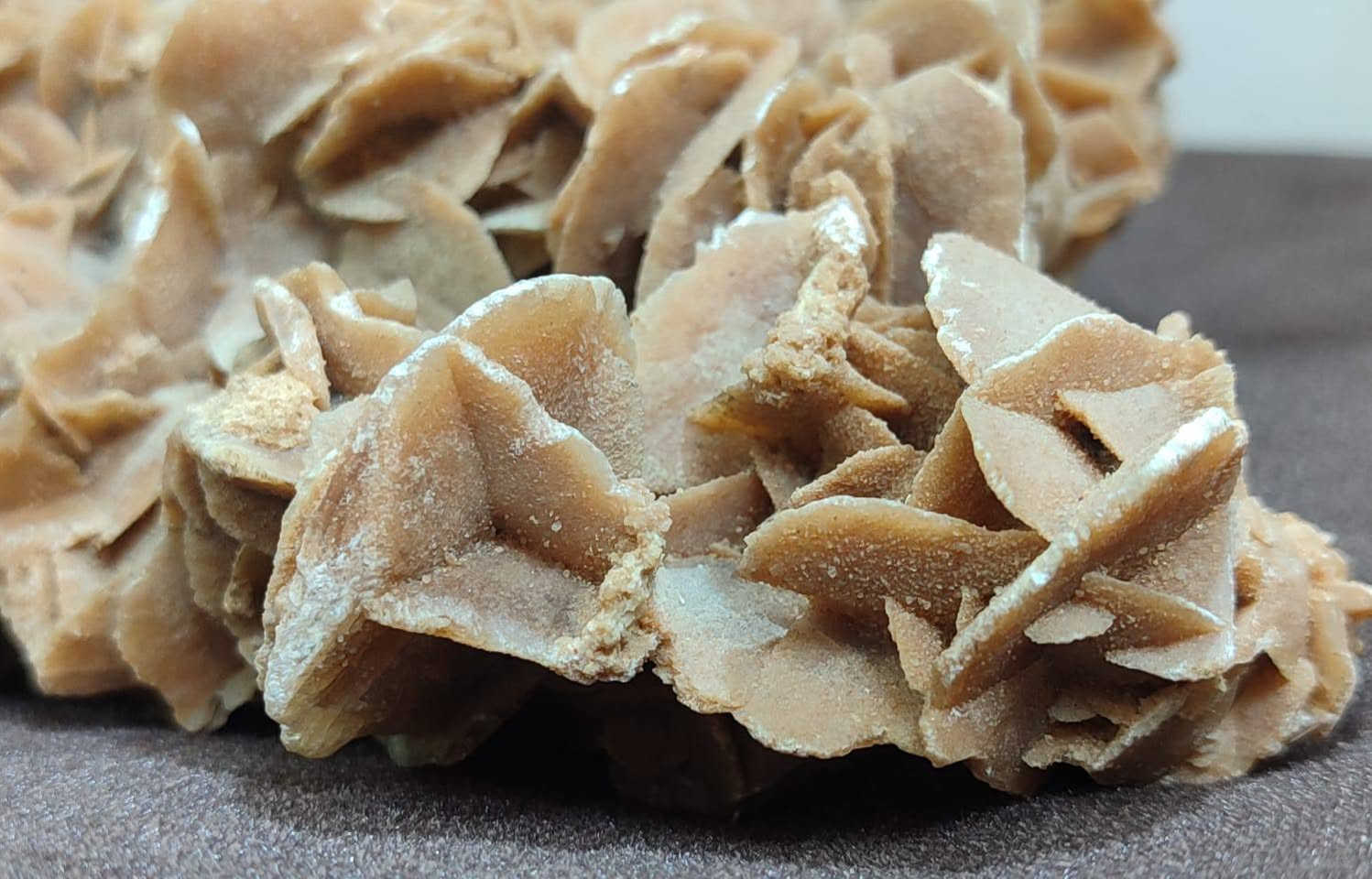 زهرة الصحراء تشكيلات بلورية معدنية تتكون من الجبس او الباريت مع حبيبات الرمل
بيع مباشر 150.000 دينار 
يتوفر توصيل لجميع محافظات العراق


**إذا كنت صاحب هذا الإعلان وتريد حذفه لأي سبب، رجاءا أرسل رسالة إلى الدعم الفني**