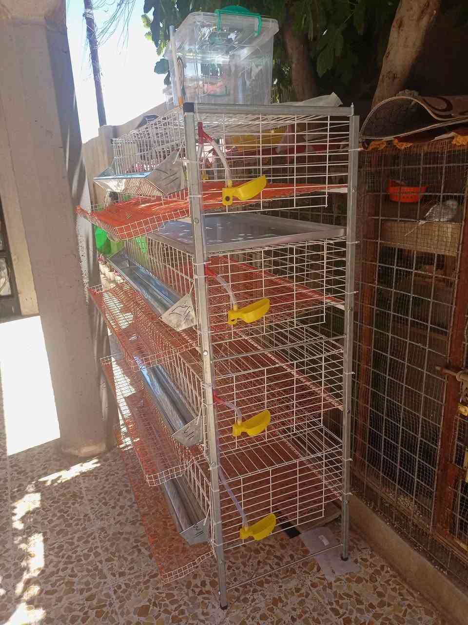 للبيع بطاريات سمان العدد ثنين
كل وحدة أربع طابق كل طابق يشيل 40سمان 
ماء اتوماتيك خروج البيض اتوماتيك 
مستخدمات أقل من شهر السعر 175قفل الواحدة 
العنوان القيارة


**إذا كنت صاحب هذا الإعلان وتريد حذفه لأي سبب، رجاءا أرسل رسالة إلى الدعم الفني**