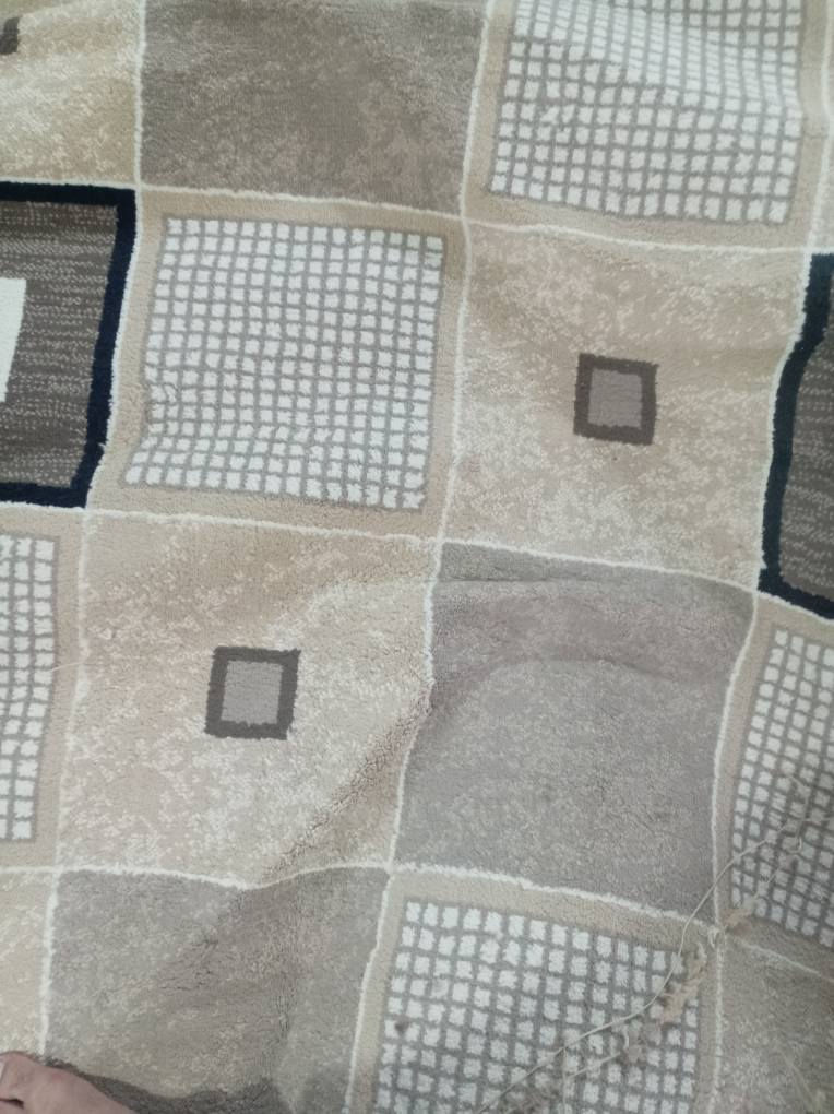 *********** وتساب أربيل, العراق
