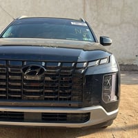 بالسايد • ٢٠٢٥ • كتاب شهداء