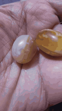 سلماني للبيع تفصيل على خاص الرغبهن أو يعرف شغلهن أهل الاختصاص يعرفون شنو شغلهن


**إذا كنت صاحب هذا الإعلان وتريد حذفه لأي سبب، رجاءا أرسل رسالة إلى الدعم الفني**