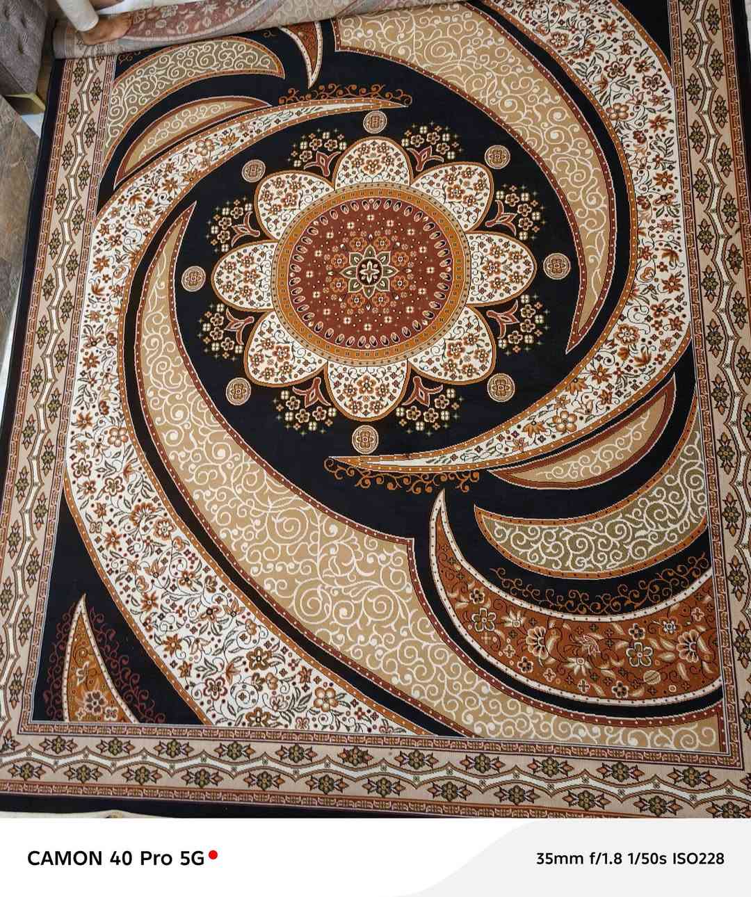 السلام عليكم
زولية صيفي كليم ايراني الاصلي للبيع قياس 3/4


**إذا كنت صاحب هذا الإعلان وتريد حذفه لأي سبب، رجاءا أرسل رسالة إلى الدعم الفني**