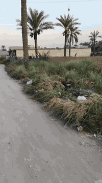 اعلان••••••••••••؟👋
قطعه ارض للبيع 

___________________
السريدات القديمة المدخل الاول شارع الجزيره السياحية مربع ثالث

مساحه الارض 500متر____ 

واجه 15متر ____

نزال 34متر____
♤______ع شارعين صايره ___////________//
 السعر خاص 
●●●●●●●●●●●●●●●

للاستفسار حول الموضوع اتصل على الرقم ***********
