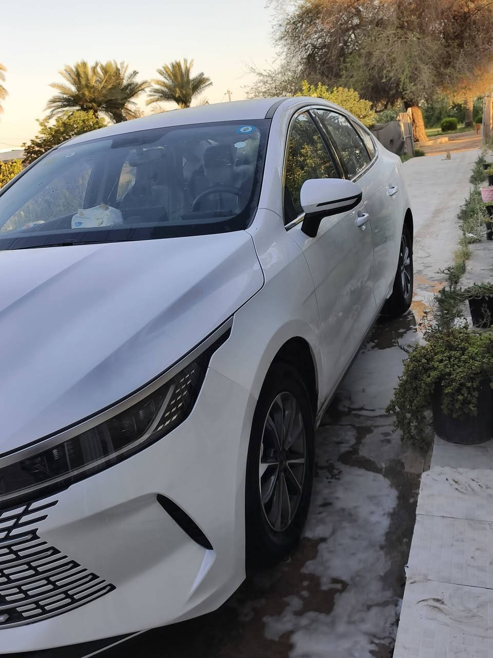 السلام عليكم BYD  دسترؤيل 2025 سياره جديده بيها طخه بسيطه شبر بجاملغ الخلفي ؤرجعت بارد سياره بحاله الوكاله ماماشيه شي قليل السعر 17 و 600 ؤبيها مجال وترهم مراؤس 
 للاستفسار 
‏‪***********‬‏
