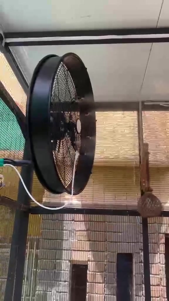 مروحه ام الرذاذ جديده استخدام أسبوع واحد نضيفه سعر 140وبيها مجال العنوان /شهداء العبيدي


**إذا كنت صاحب هذا الإعلان وتريد حذفه لأي سبب، رجاءا أرسل رسالة إلى الدعم الفني**