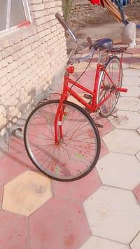 باسكن • حجم ٢٧ • سماوة المجد