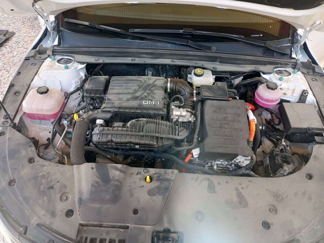 سلام عليكم للبيع
بي واي دي دستور 2025
زيرو مرقم بغداد بسمي 
مواصفات سيارة 
1 شاشه جبيره قلاب كيبورد عربي منزل عليه تطبيقات
2 كشنات رياضي جلد لونين
3 قطعتين تبريد منافذ شحن يو اس بي 
4 كير ماوس ثلاث وضعيات قياده
5 سياره بصمه وكارت تشغيل عن بعد 
6 تحكم ستيرن جيتين وكرز سرعه
7 اشاير لكزس 
وبعد بيه هواي مواصفات ما ذاكرهن
مكان السيارة بغداد الكرخ
لستفسار نتصل ***********
