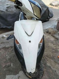 ماكس ثعلب للبيع نكره سلف نقصه قبق هندر وجوزه شلعه معدل خير من الله كهر...