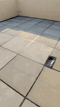 بسم الله ماشاء الله عمل. اليوم   عمل شتايكر السطوح مستعدون لعمل كافة ا...