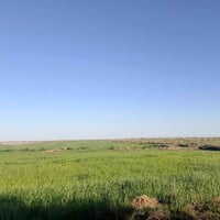 للبيع ارض ٧٤ دونم طابو زراعي موقع رهيب على الدولي السريع مباشر... وجه ...