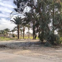 قطع راضي للبيع حسب الطلب ملك صرف طابو زراعي كامل خدامات مي ومجاري وكهر...