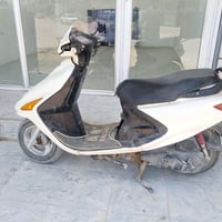 فراشه فحل • مكفوله • زنون